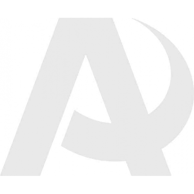 Пневмоподвеска на заднюю ось, Foton Aumark S85 (BJ 1088)